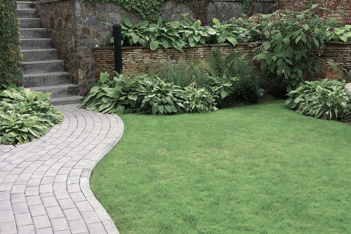 Welcome to JT And Sons Landscaping